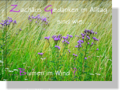 Blumen im Wind